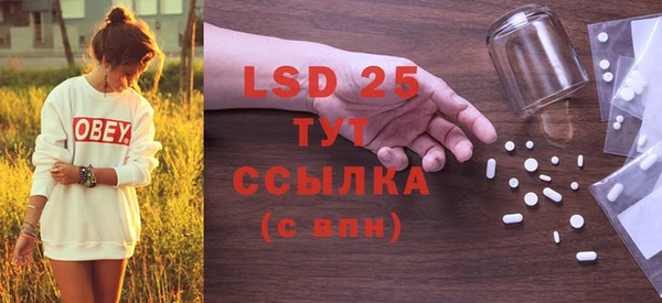 стафф Осташков