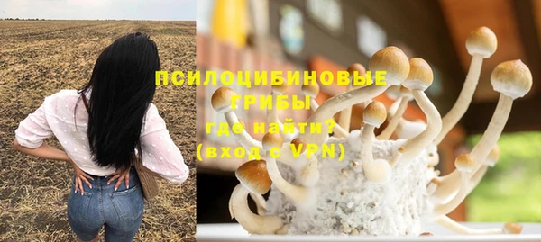 a pvp Костерёво