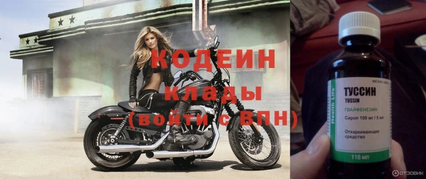 стафф Осташков