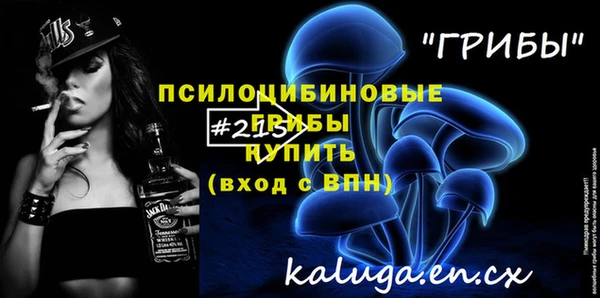 таблы Няндома